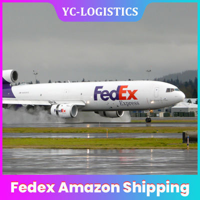 Door To Door FedEx Amazon cZ CX BY DDU Agent Cargo Agent